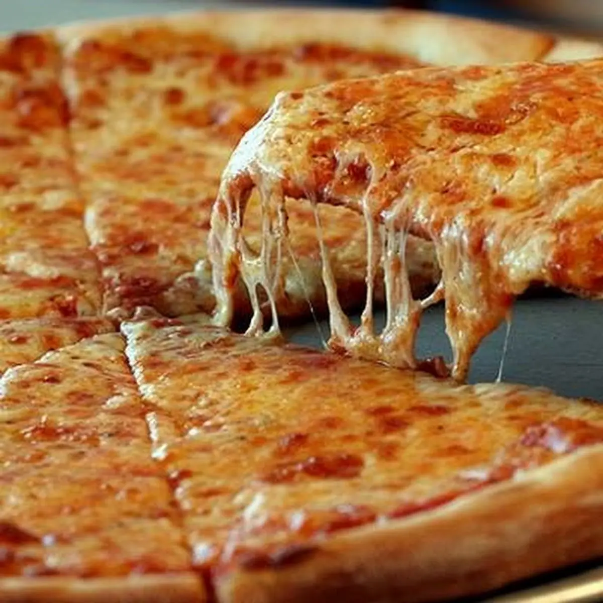 Plain Cheese Pizza