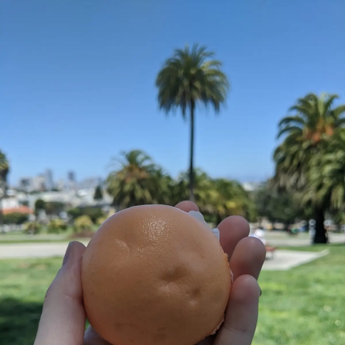 Cream Custard Bun