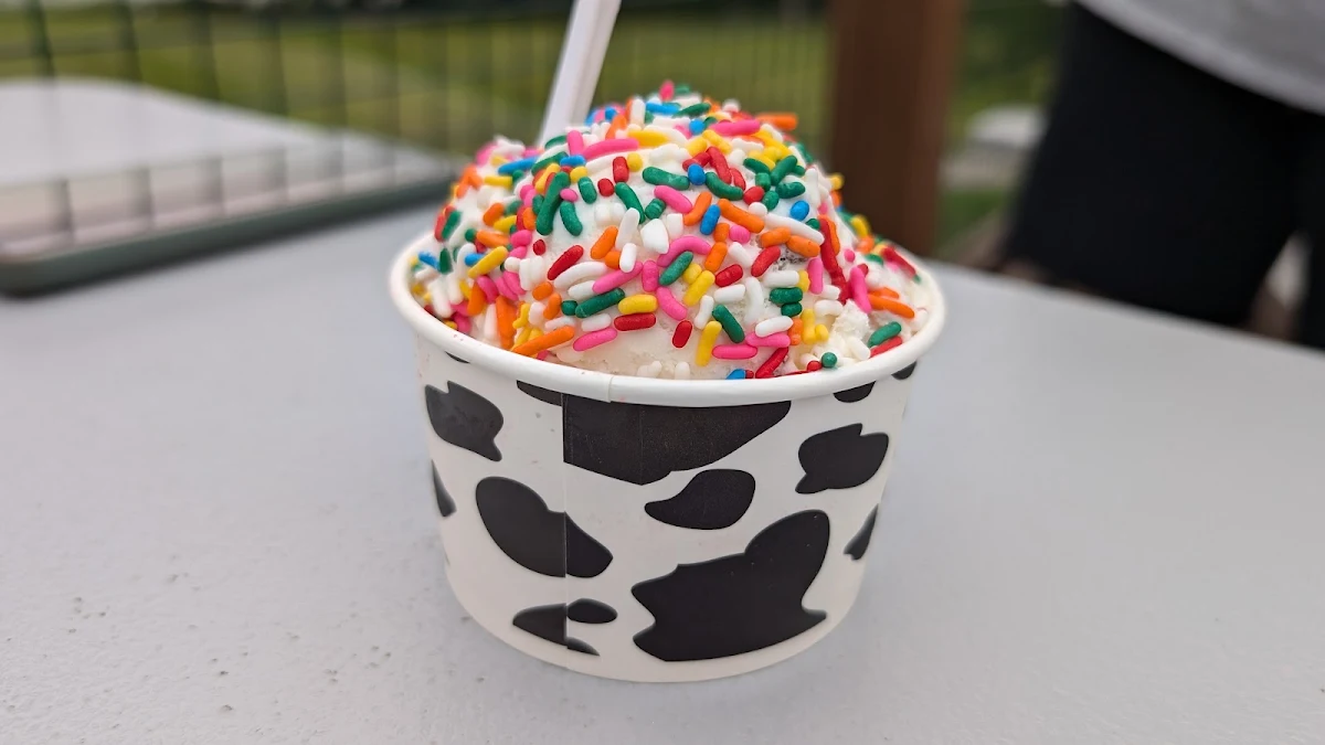 Rum Raisin Ice Cream