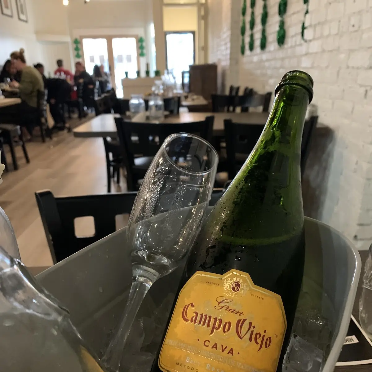 Mimosa Bucket
