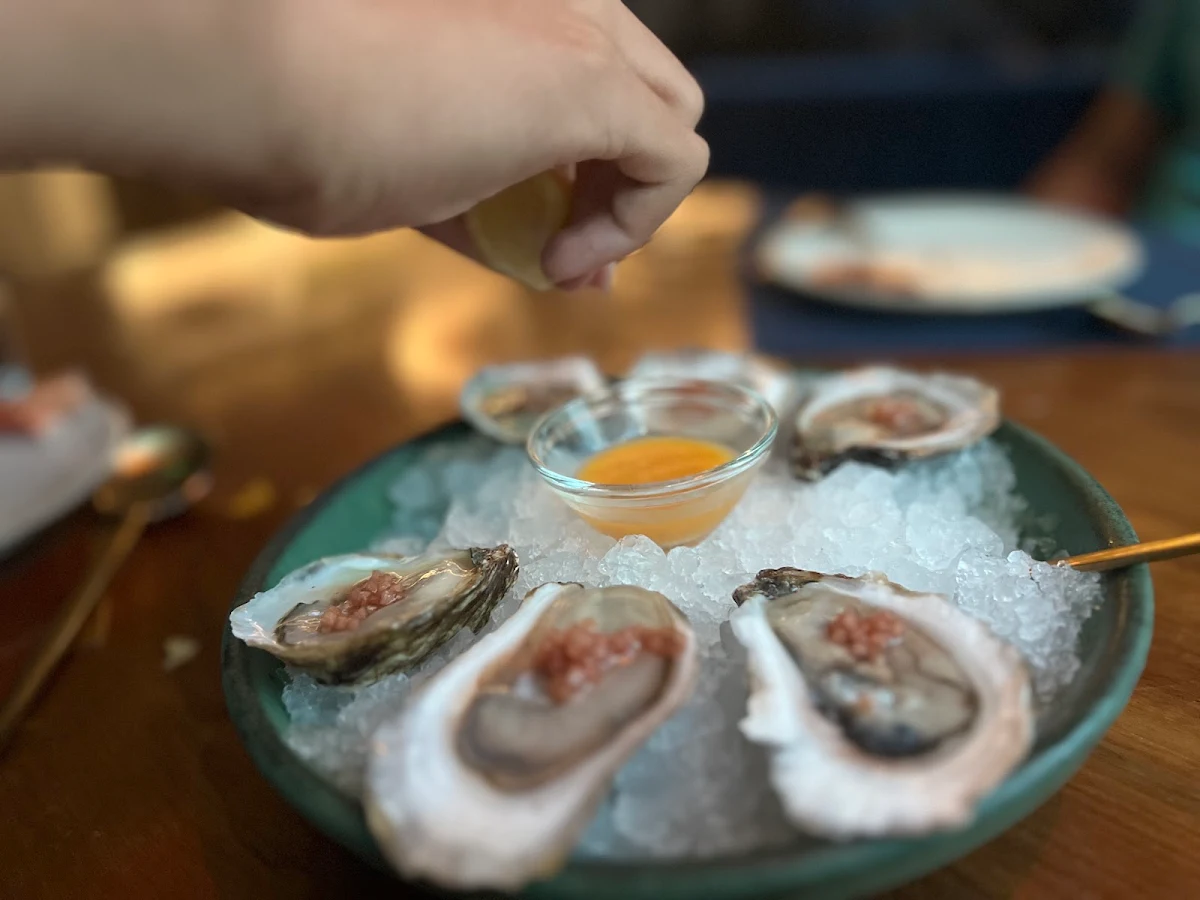 Oysters on the Half Shell