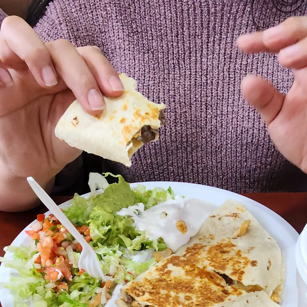 Chicken Quesadilla