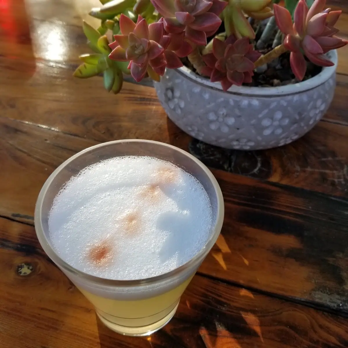 Gin Sour