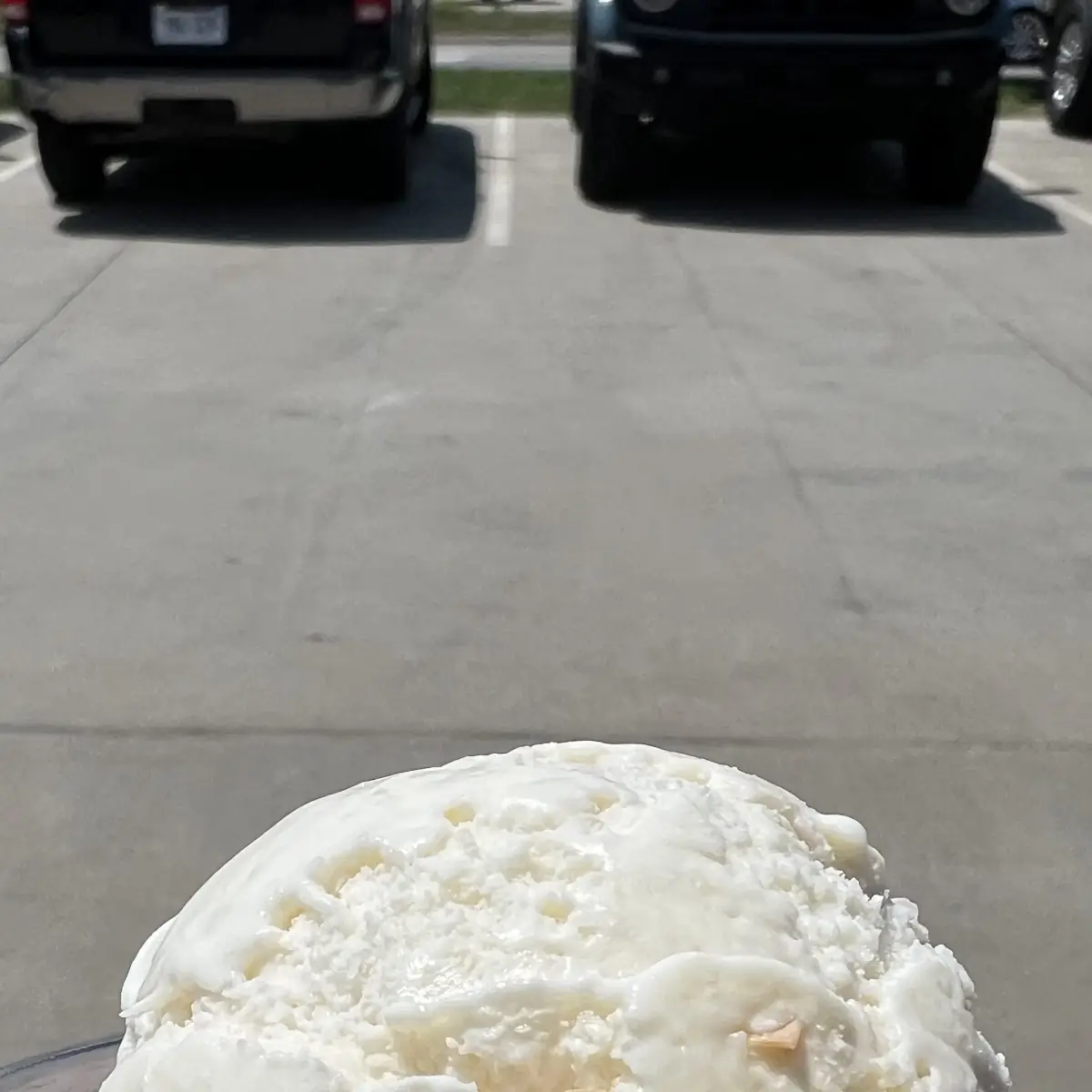 Coconut Ice Cream