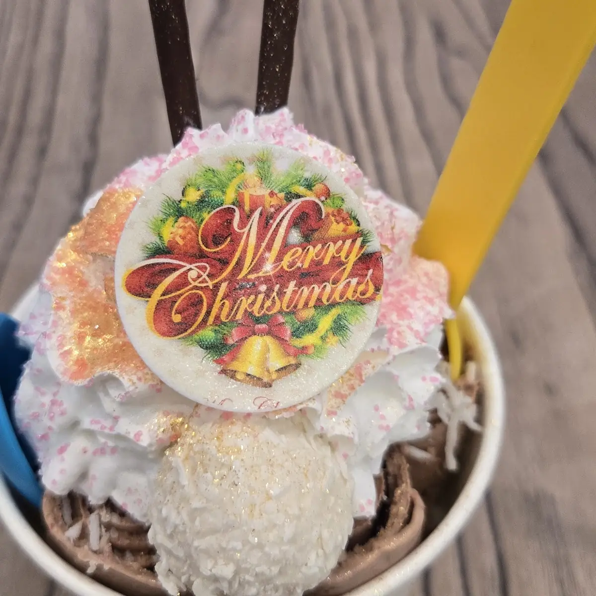 Coconut Chocolate Ice Cream