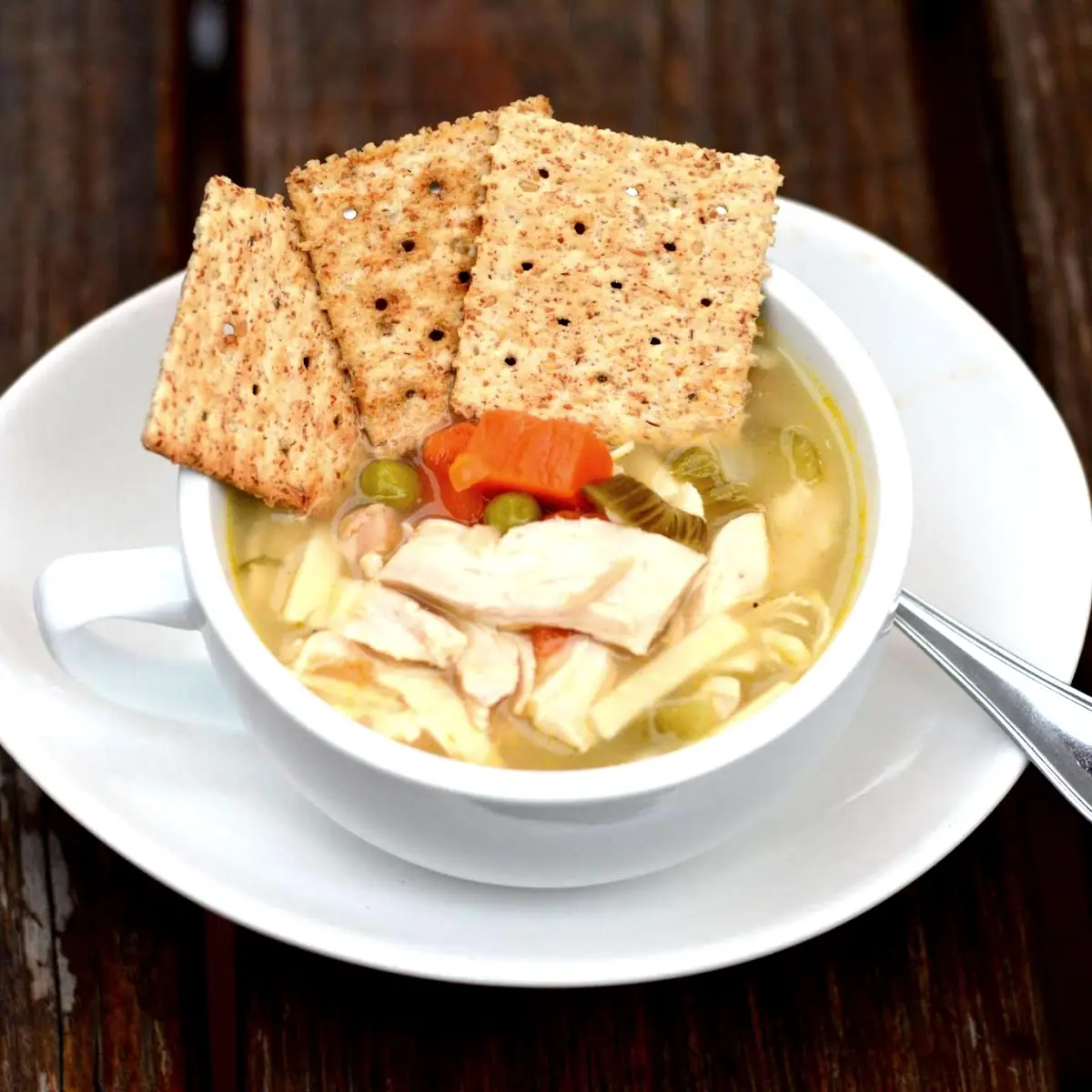 Chicken Noodle Soup