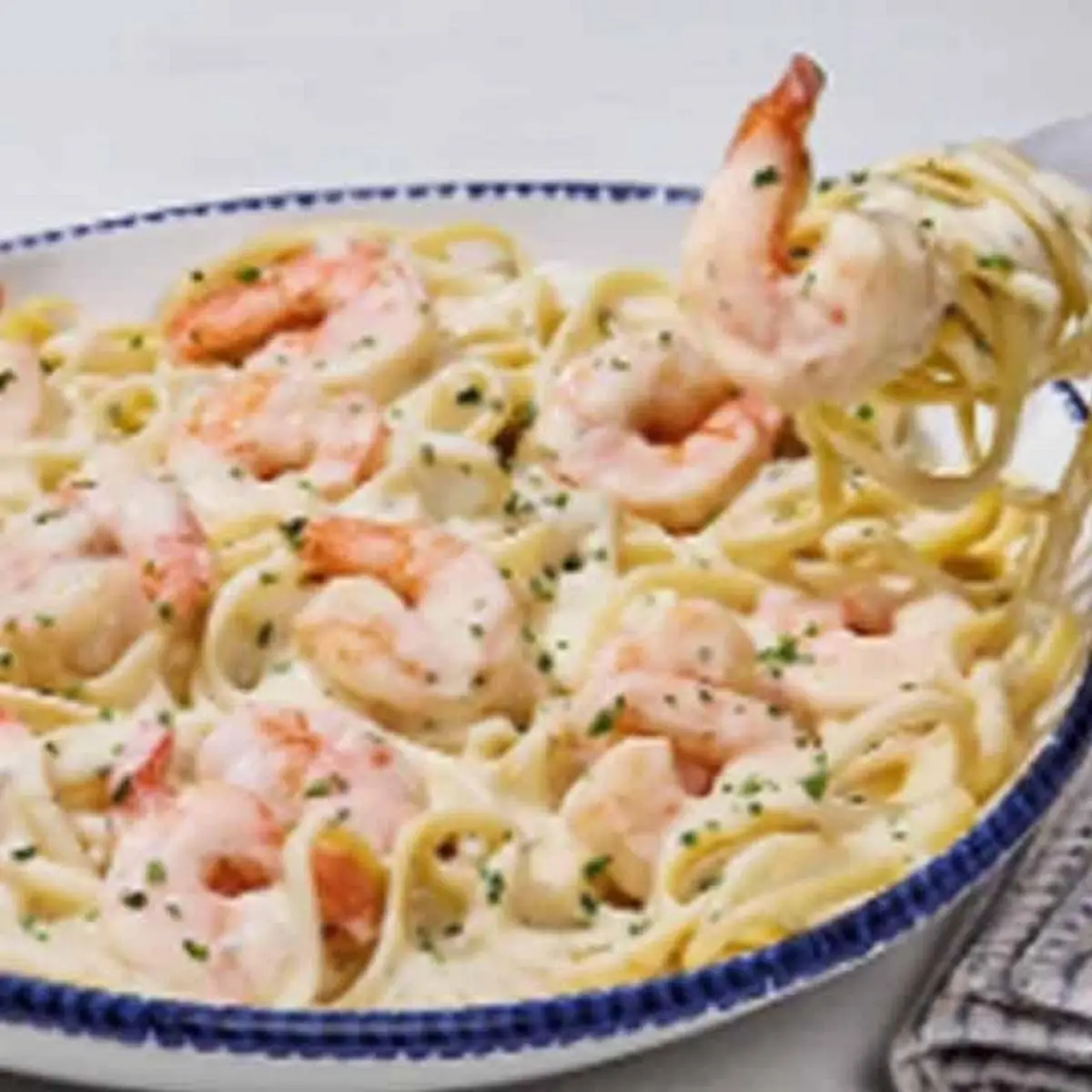 Shrimp Linguini Alfredo