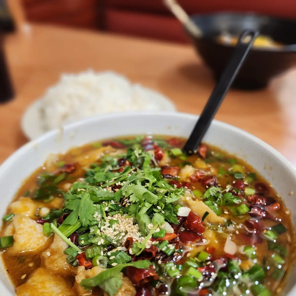 Shui Zhu Yu Boiled Fish