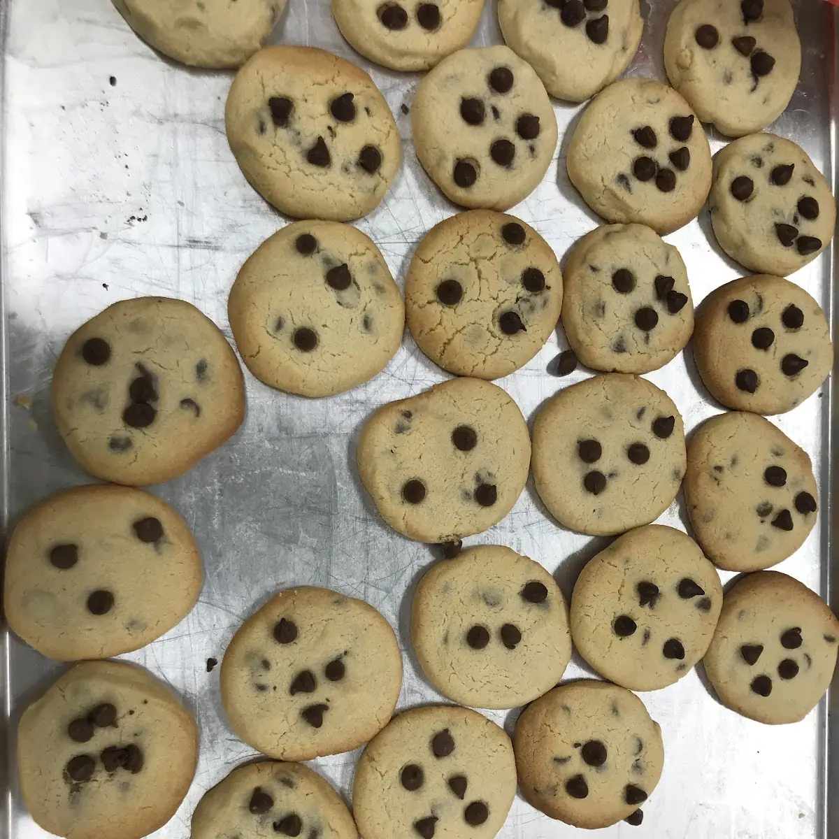 Chocolate Chip Cookie