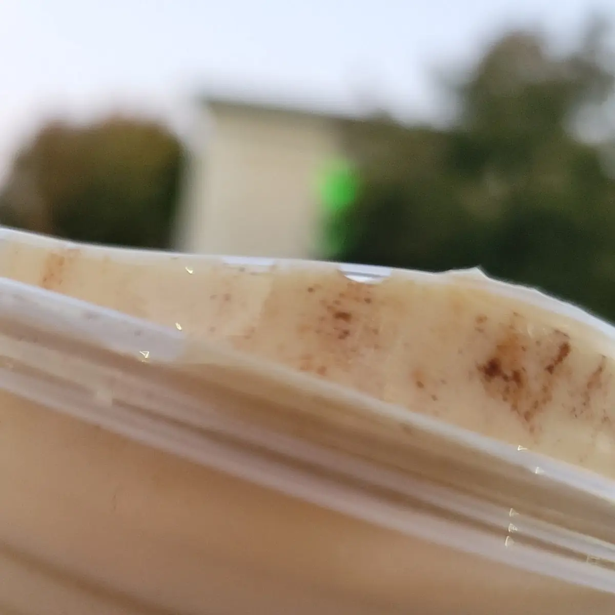 Pumpkin Cream Cold Brew