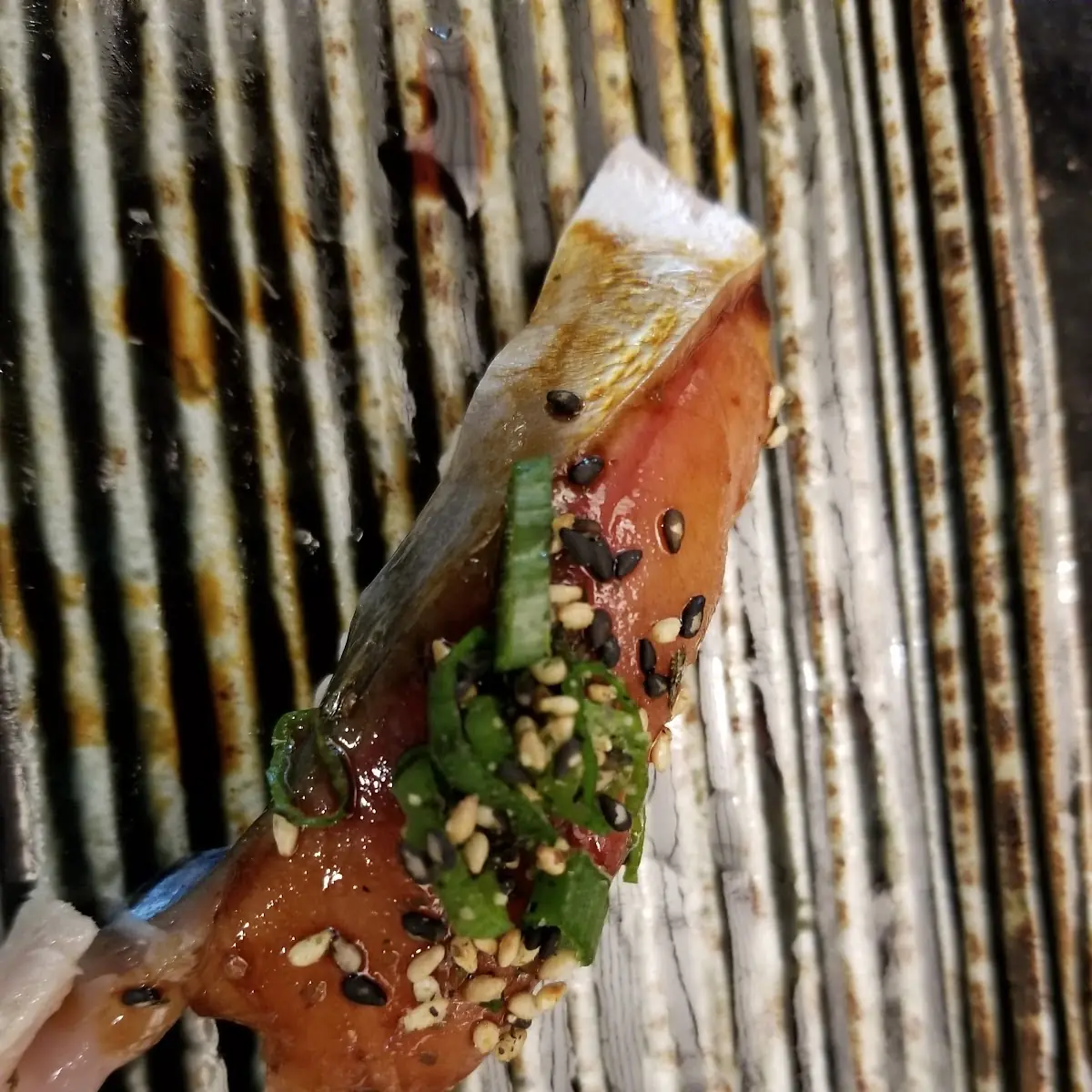 Mackerel Saba