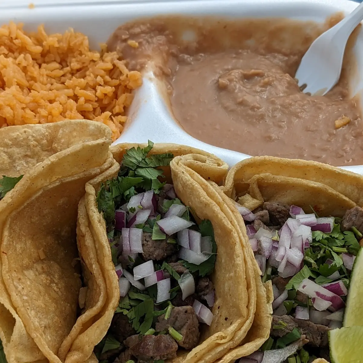 Steak Taco Plate