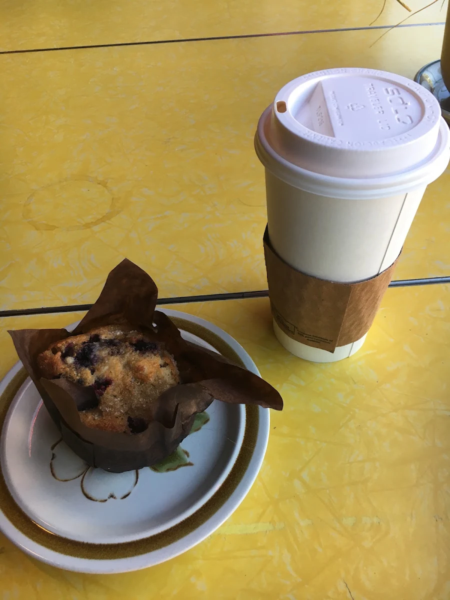 Blueberry Muffin