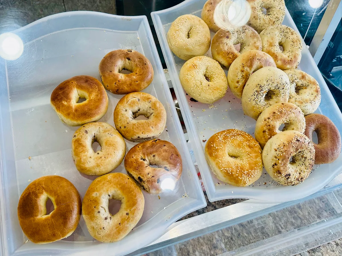 Dozen Bagel
