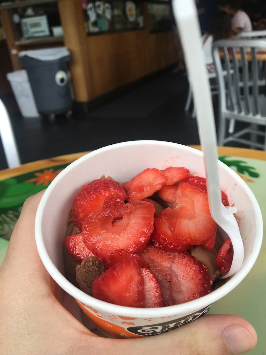 Vegan Chocolate with Strawberries