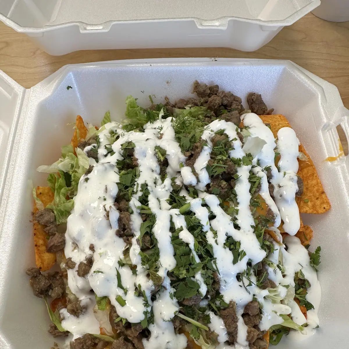 Carne Asada Fries