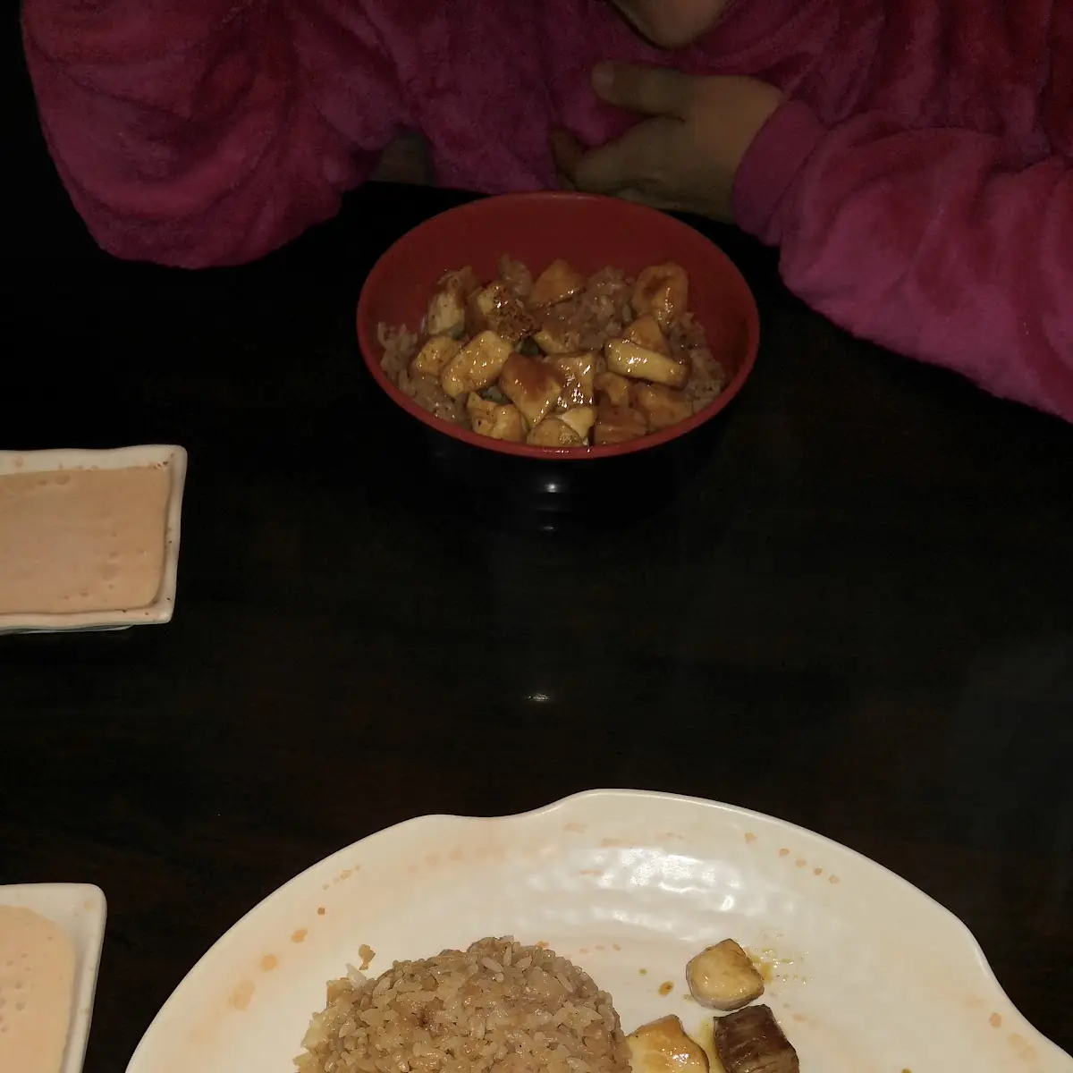Steak and Chicken Teriyaki Style