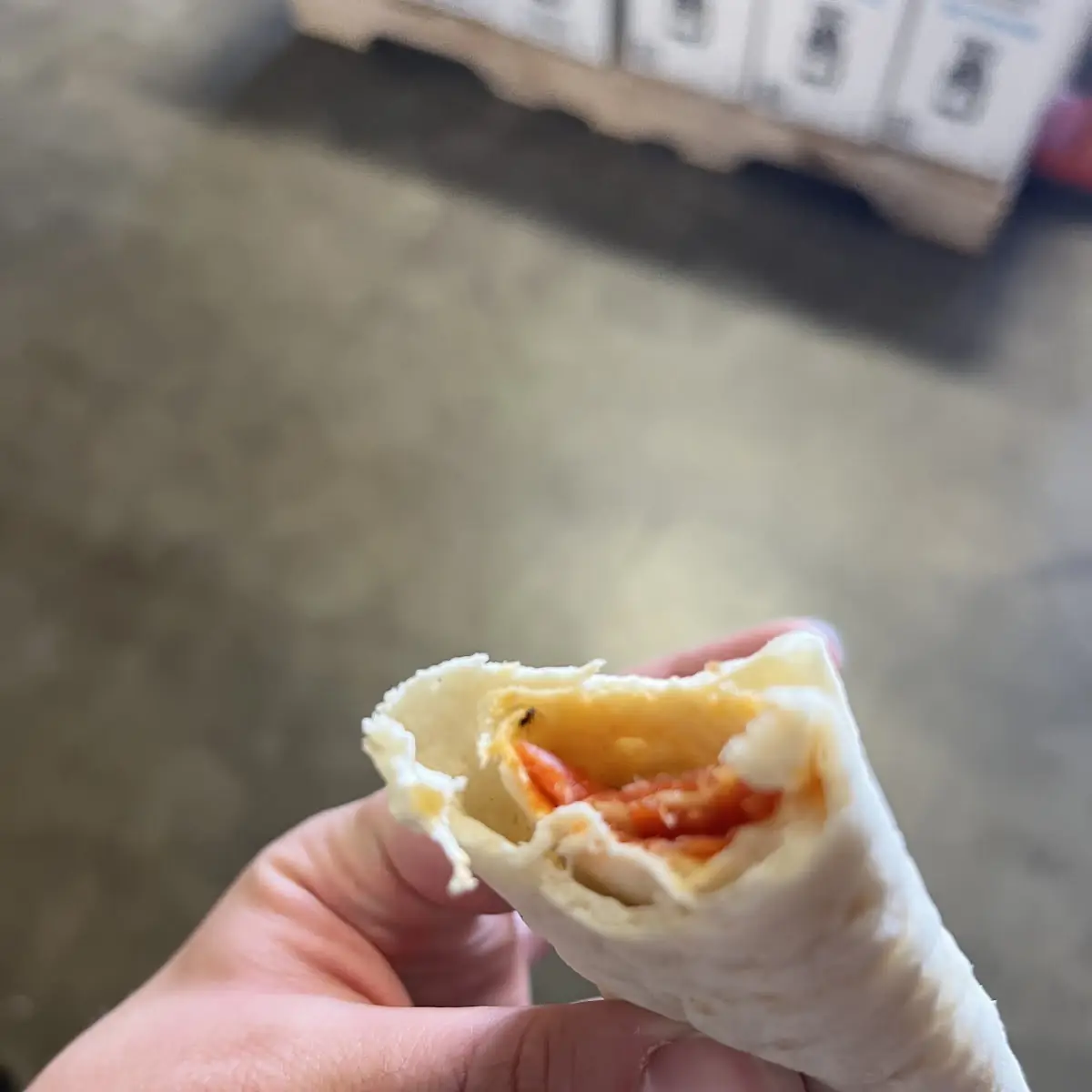 Breakfast Burrito