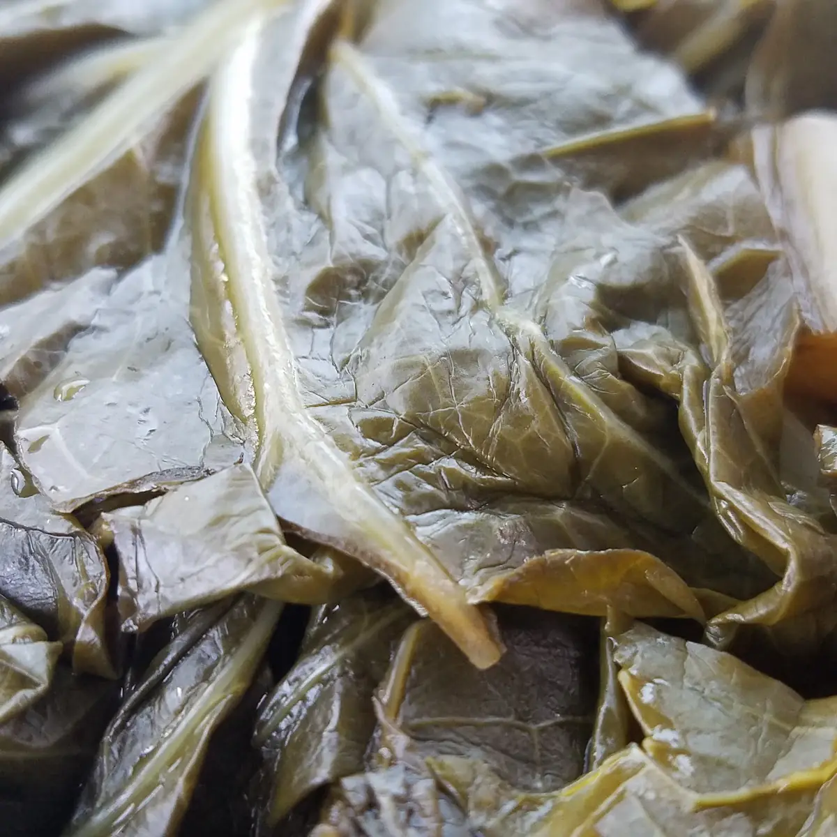 Collard Greens