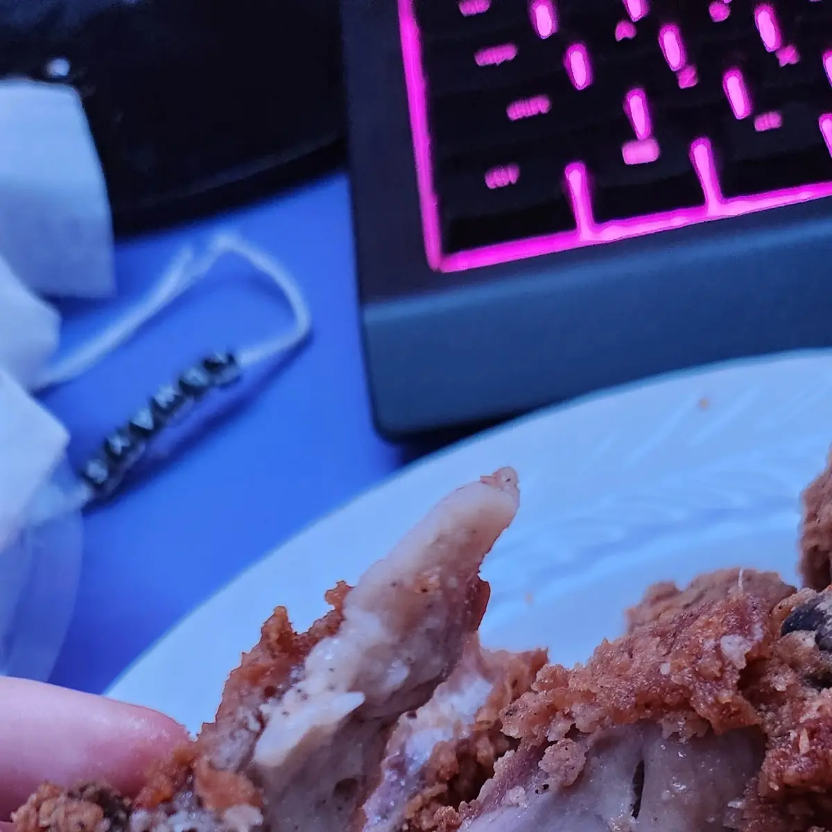 Fried Chicken Meal
