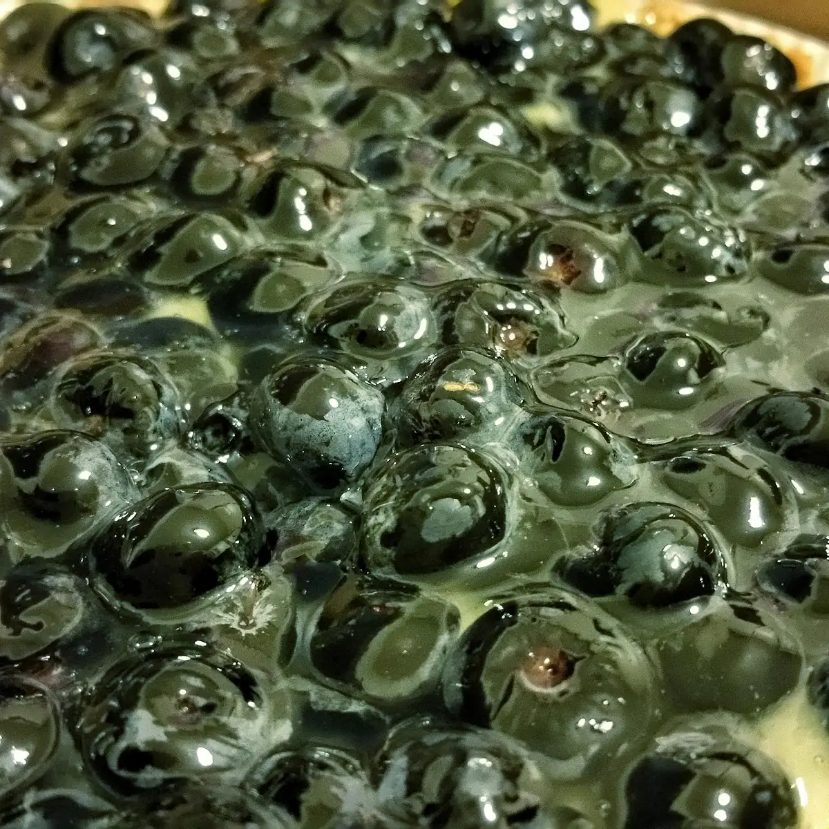 Blueberry Tart with Custard Cream