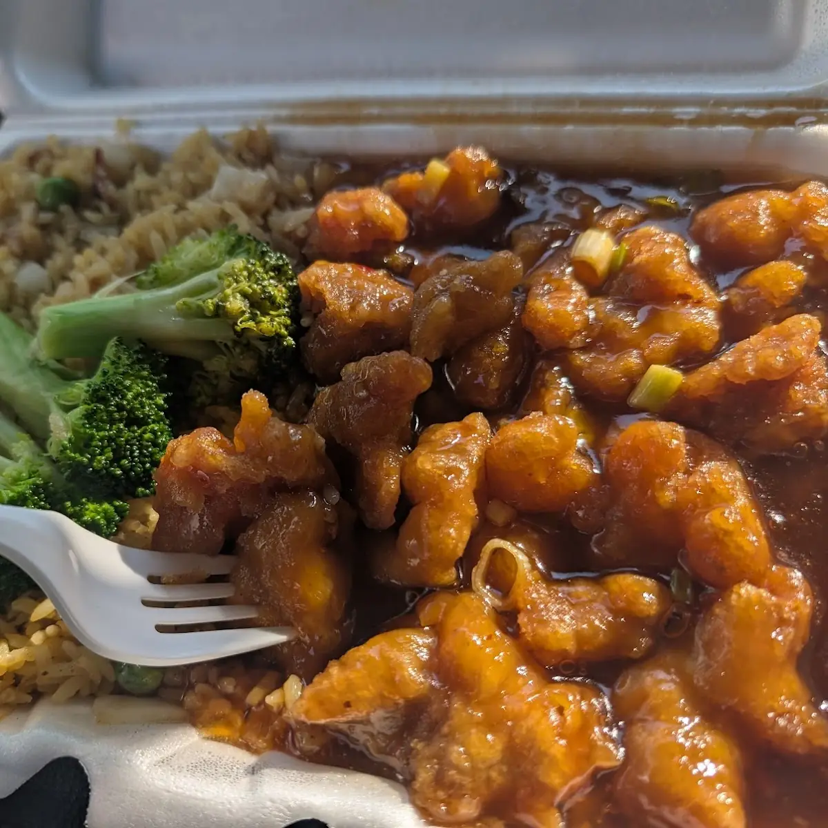 General TSO's Chicken