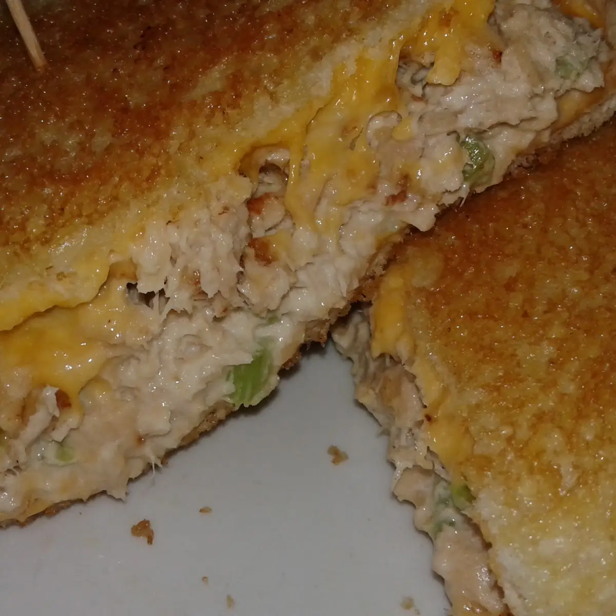 Tuna Tuna Melt Sandwich