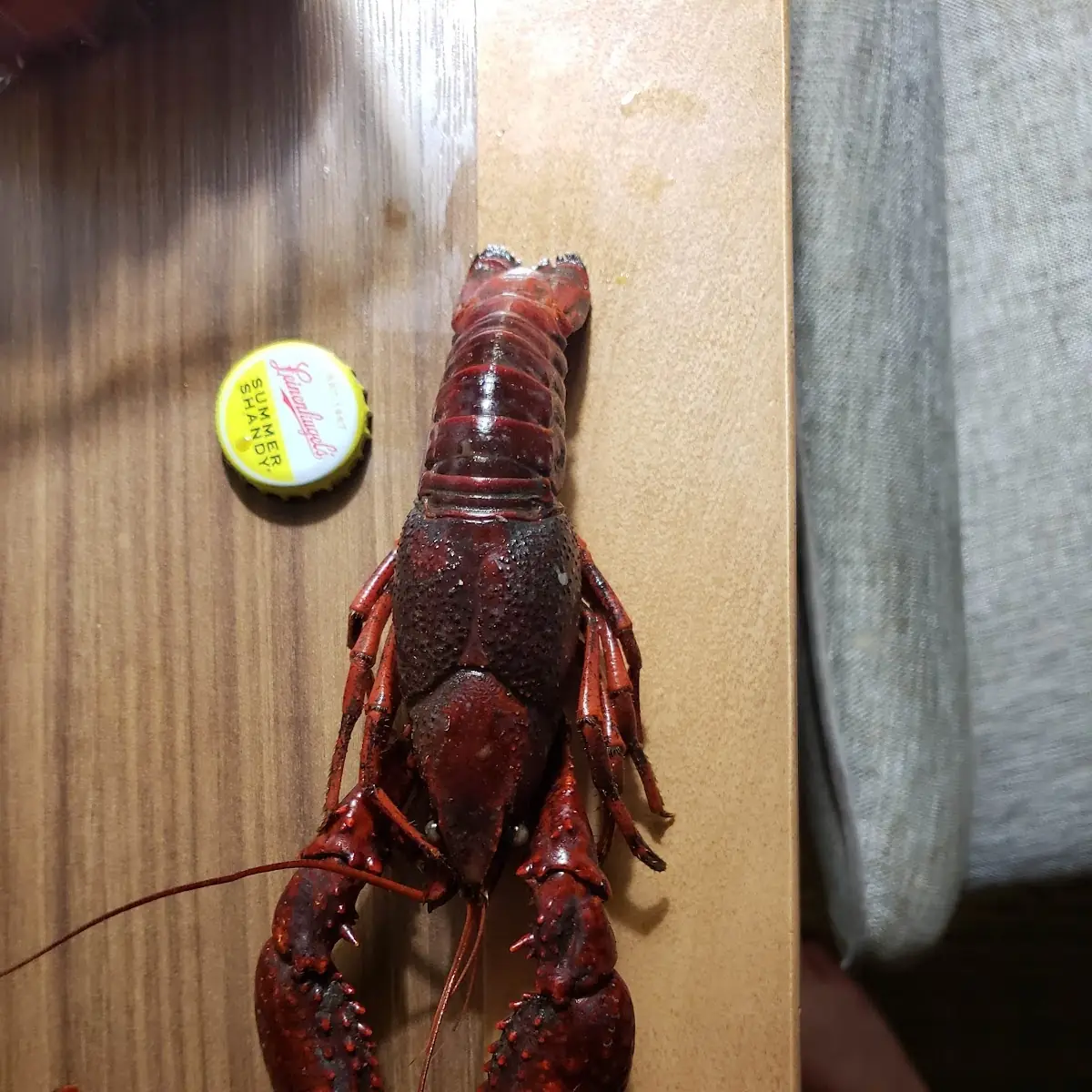 Lobster