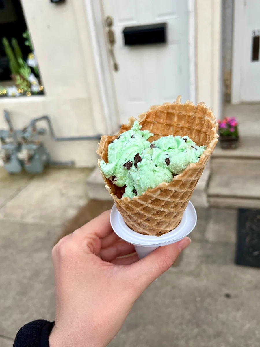 Mint Chocolate Chip Waffle Cone