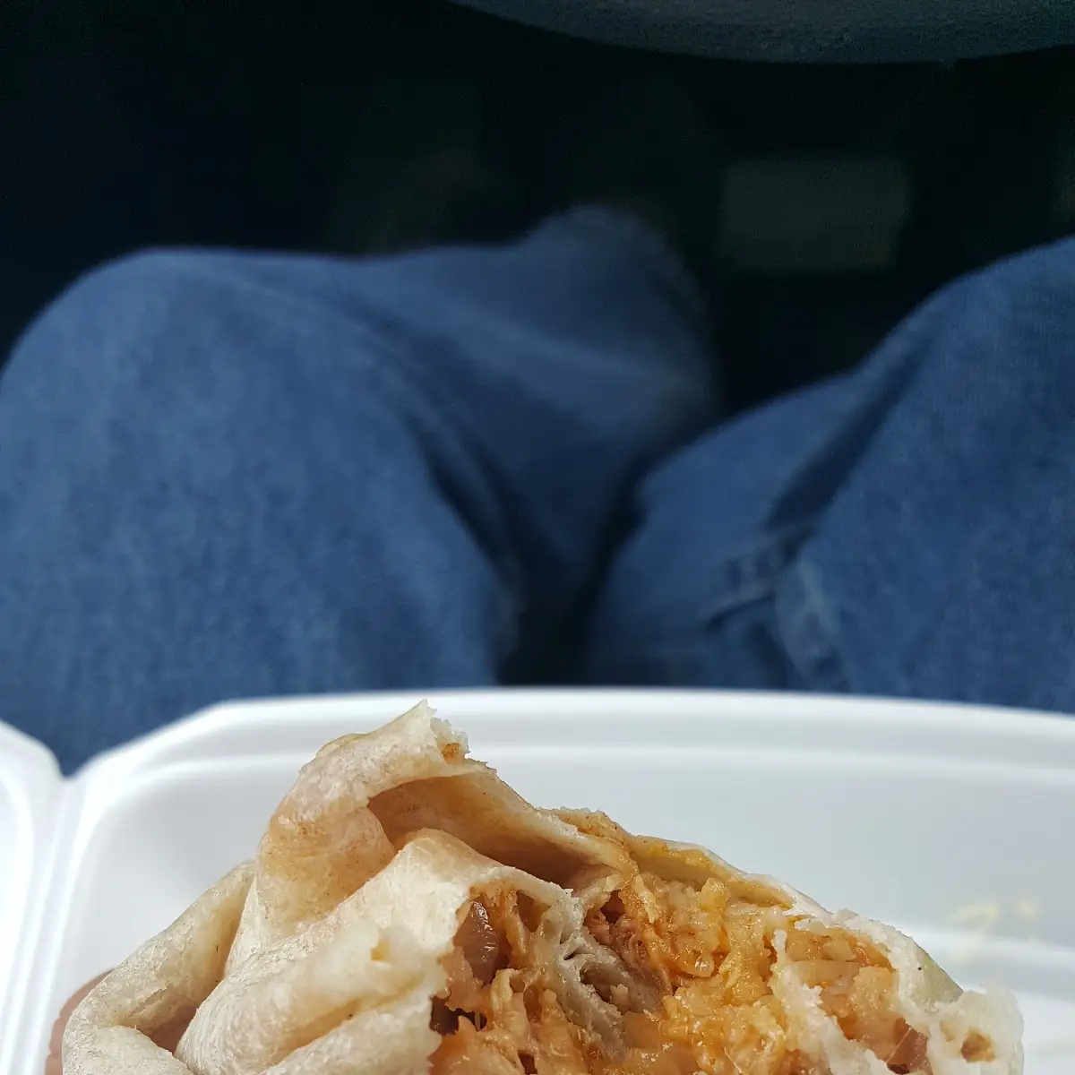 Carnitas Burrito