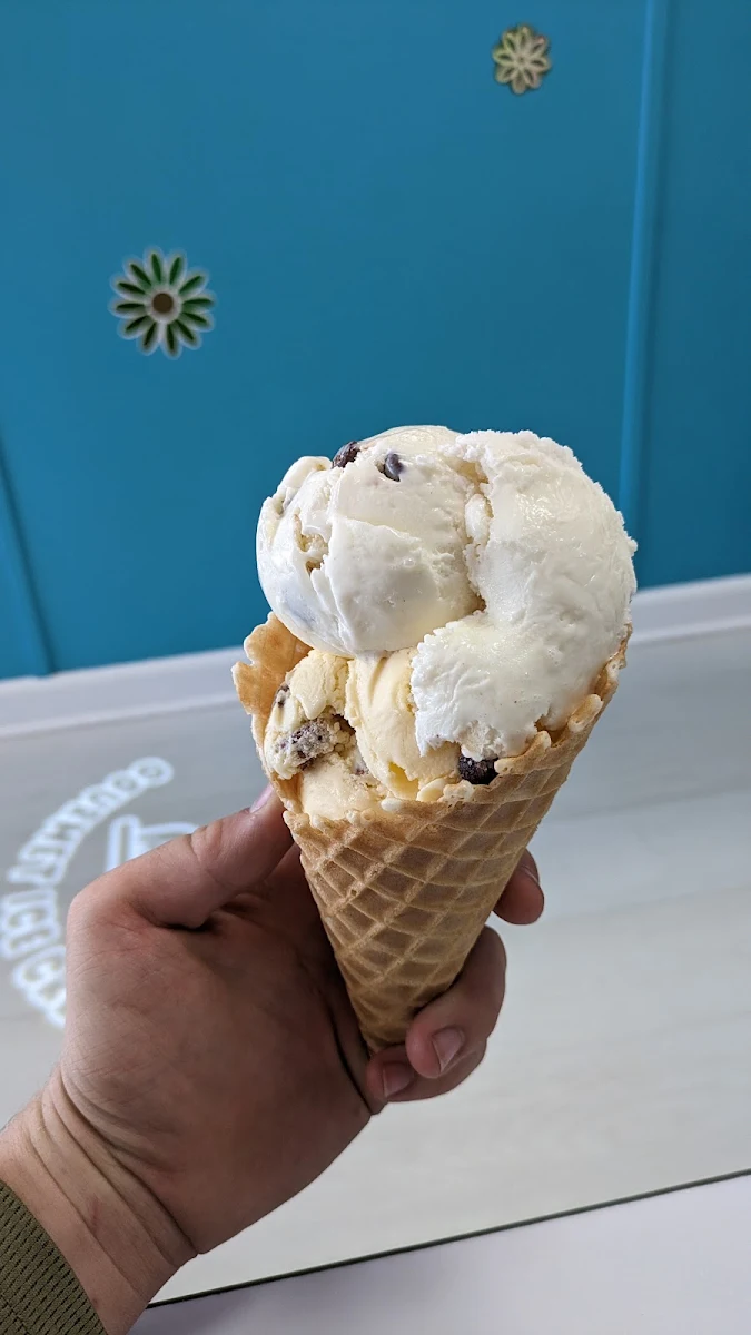 Chocolate Chip