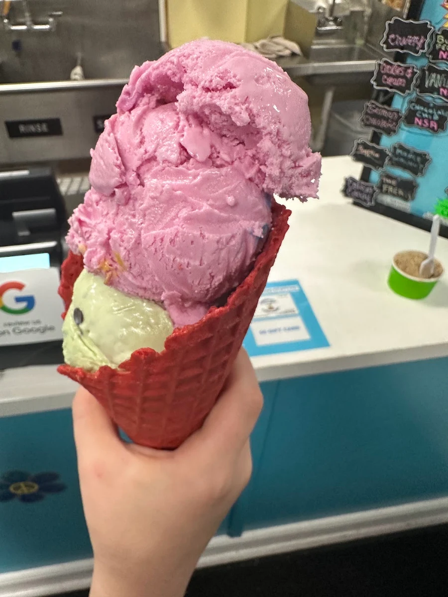 Strawberry and Vanilla Ice Cream