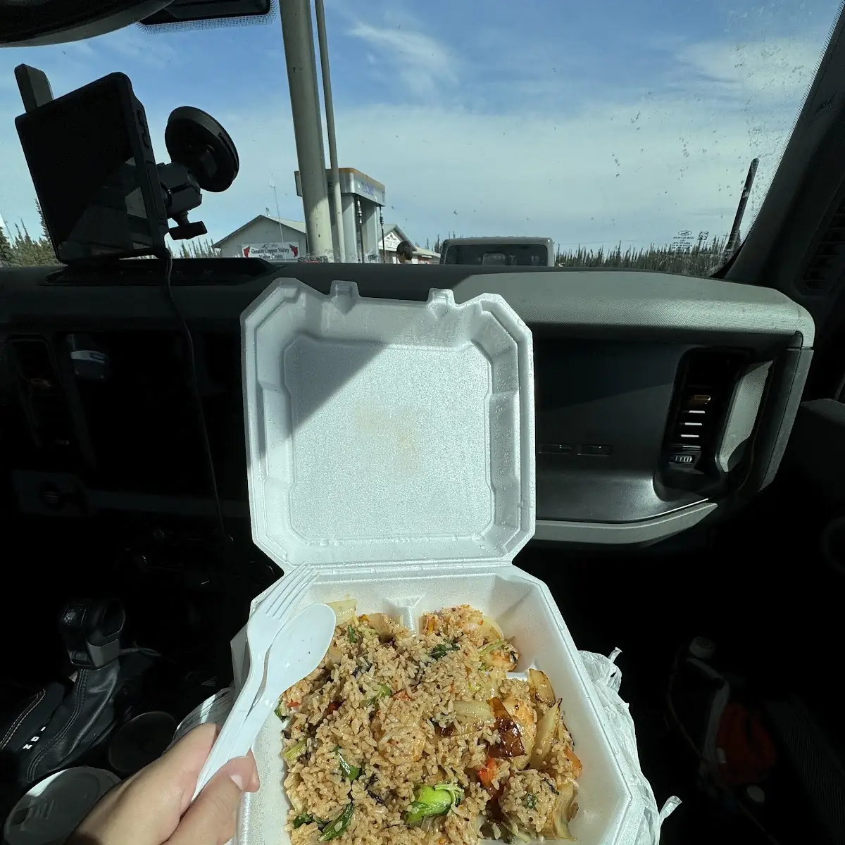 Thai Fried Rice Spicy