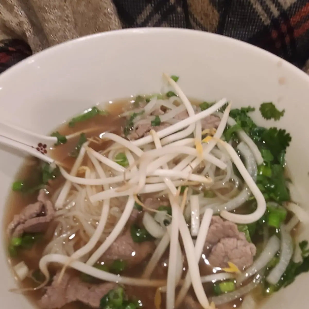 Beef Pho