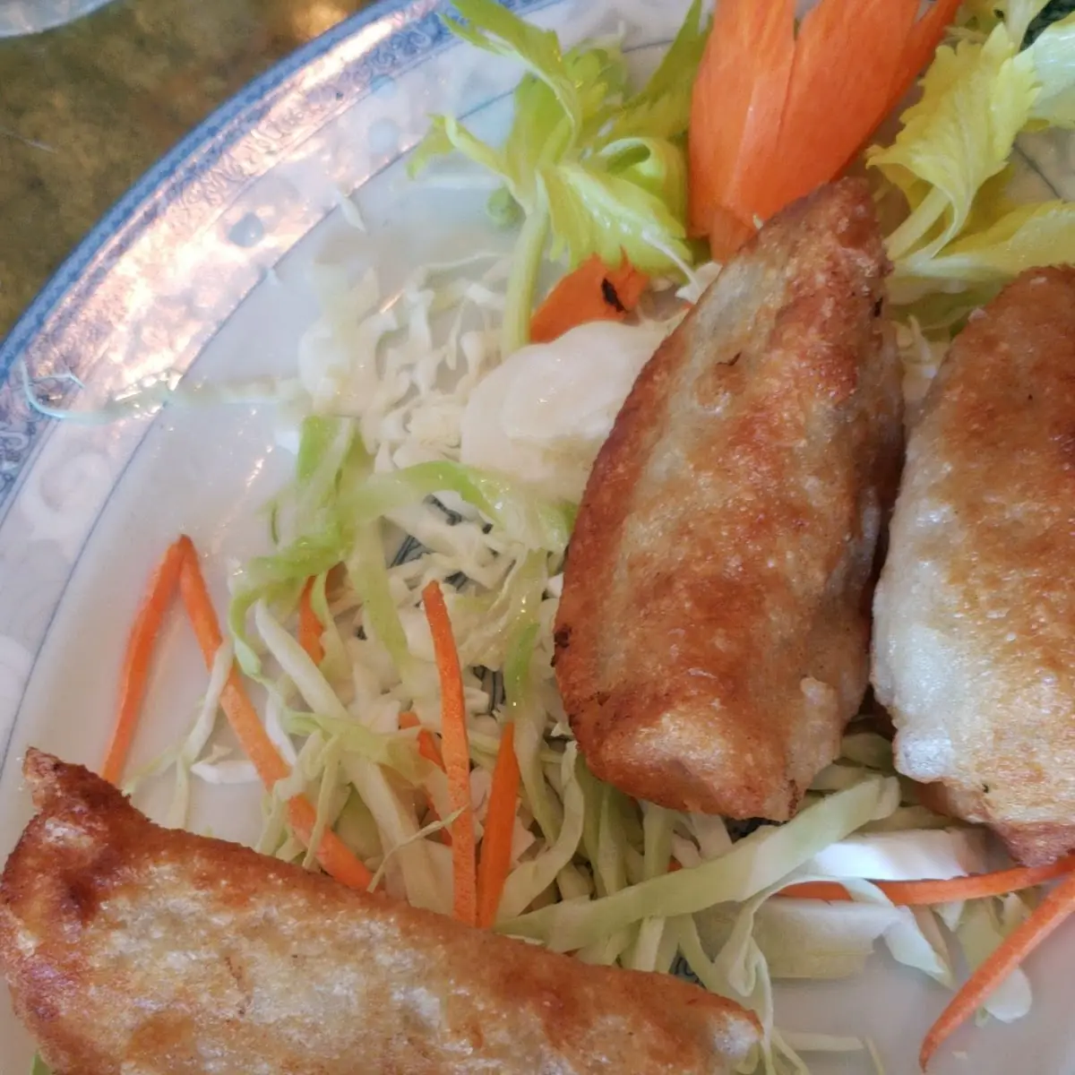Pot Stickers