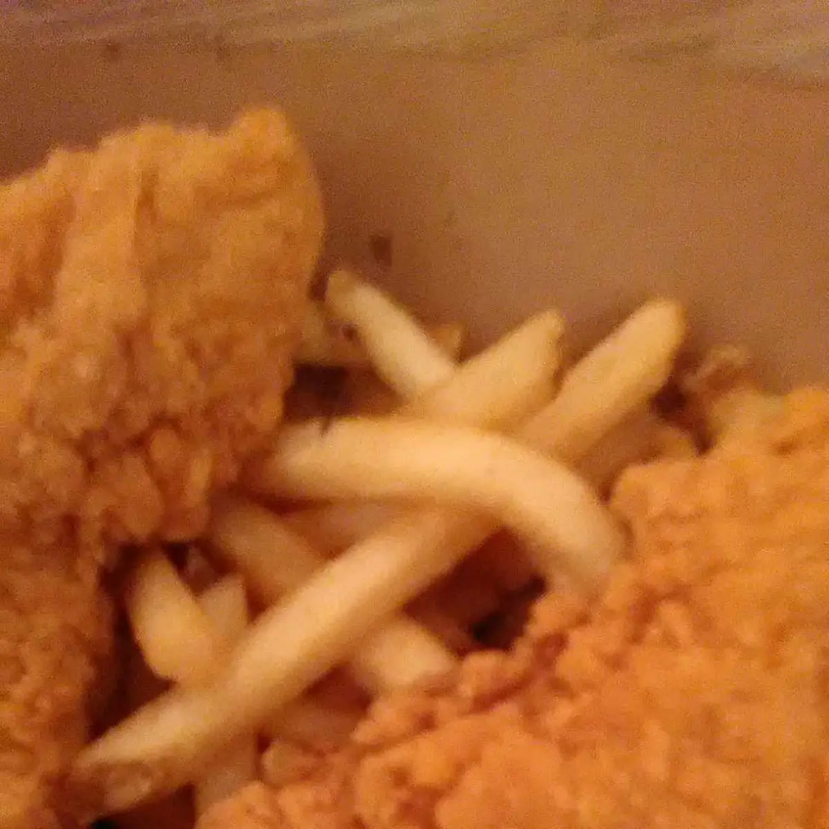 Chicken Tenders and Fries