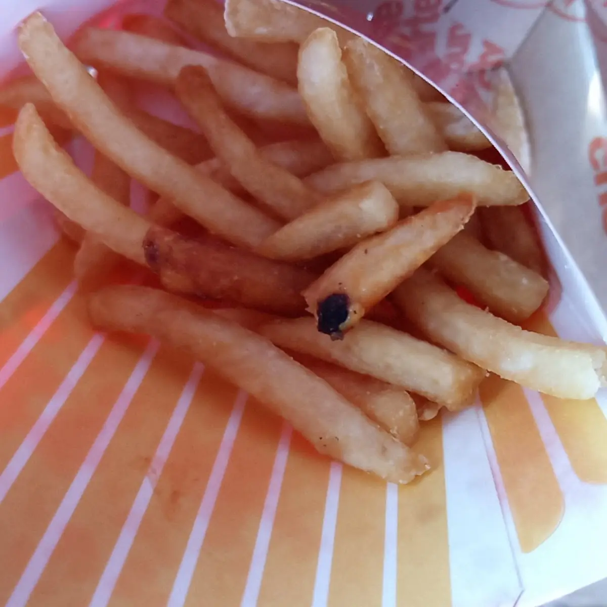 World Famous Fries