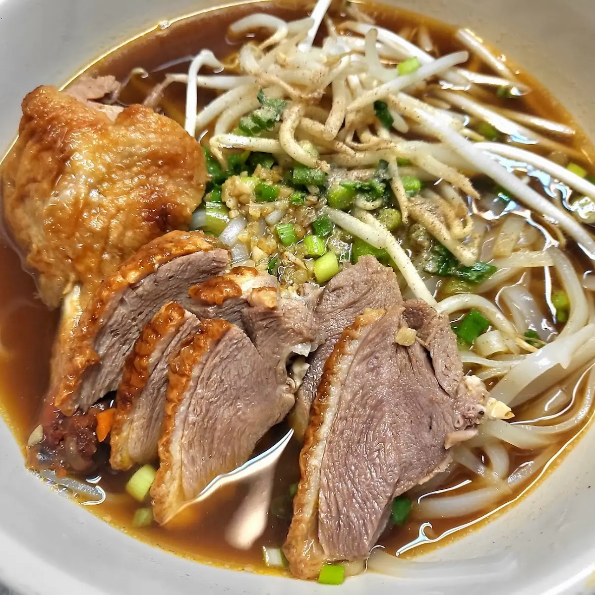 Duck Noodle Soup