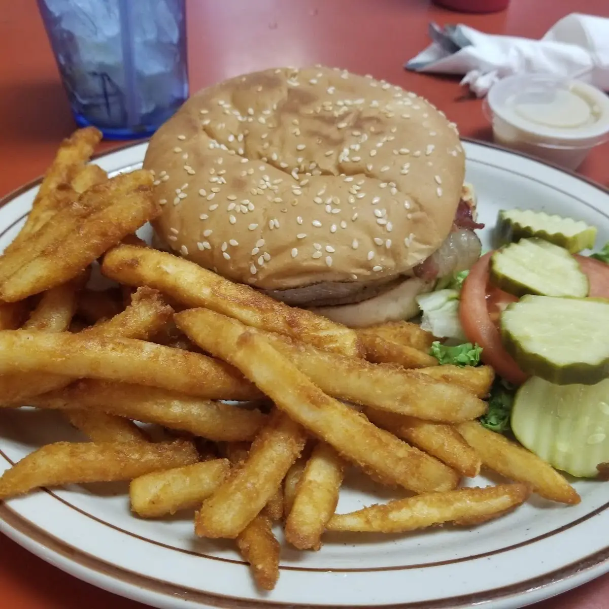 Chicken Sandwich and Fries