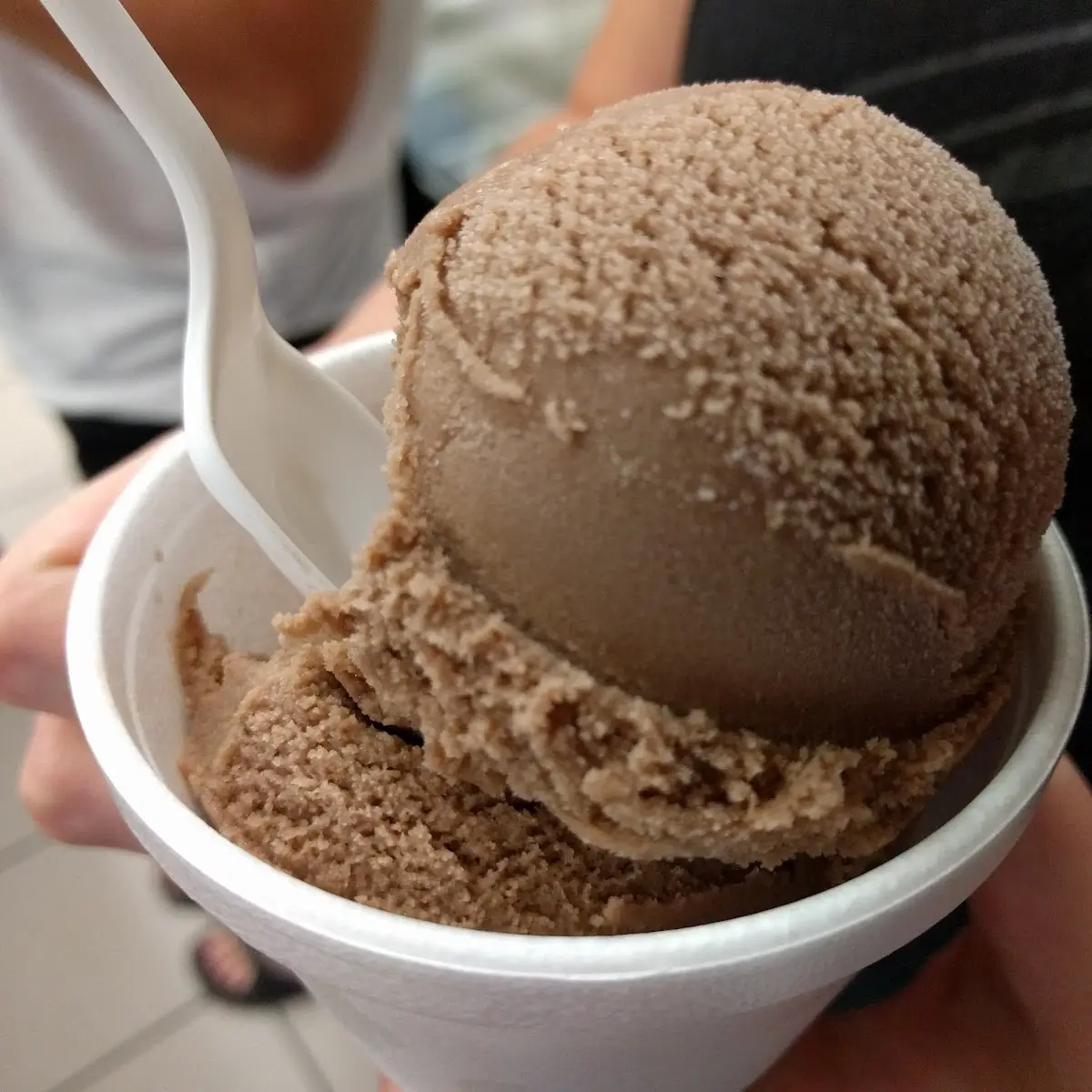 Vegan Chocolate Ice Cream