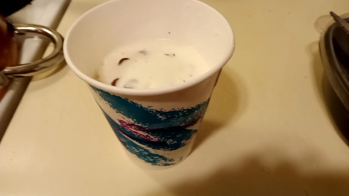 A Chocolate Chip Marshmallow Flurry