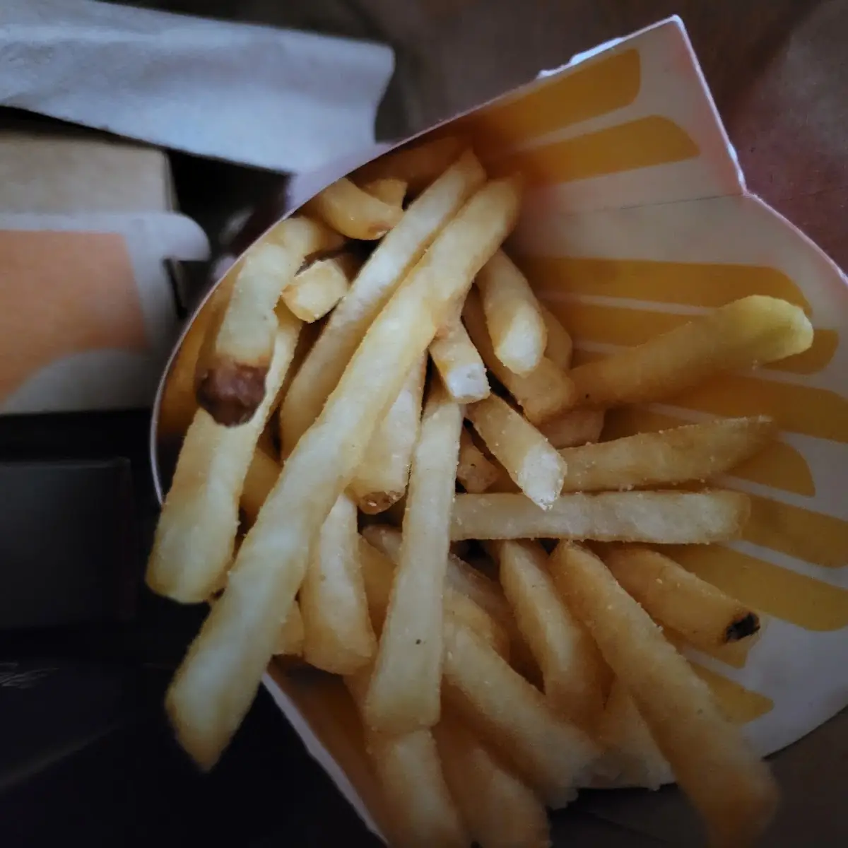 World Famous Fries
