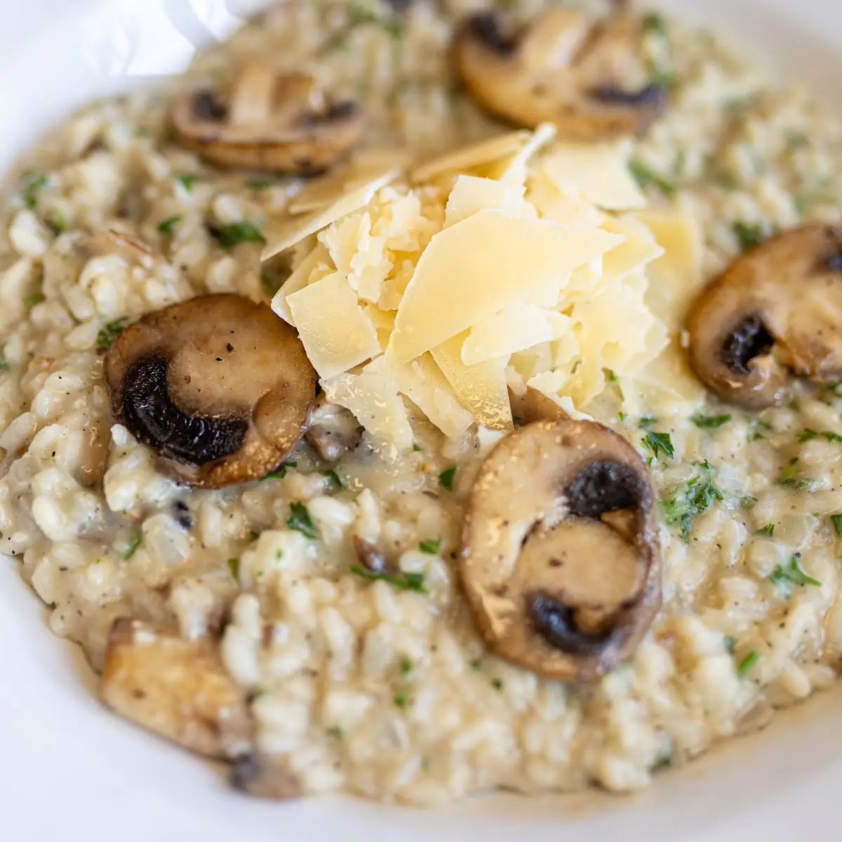 Mushroom Risotto