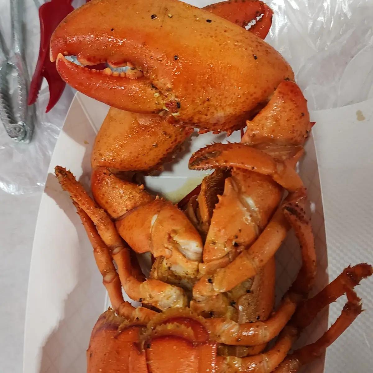 Lobster