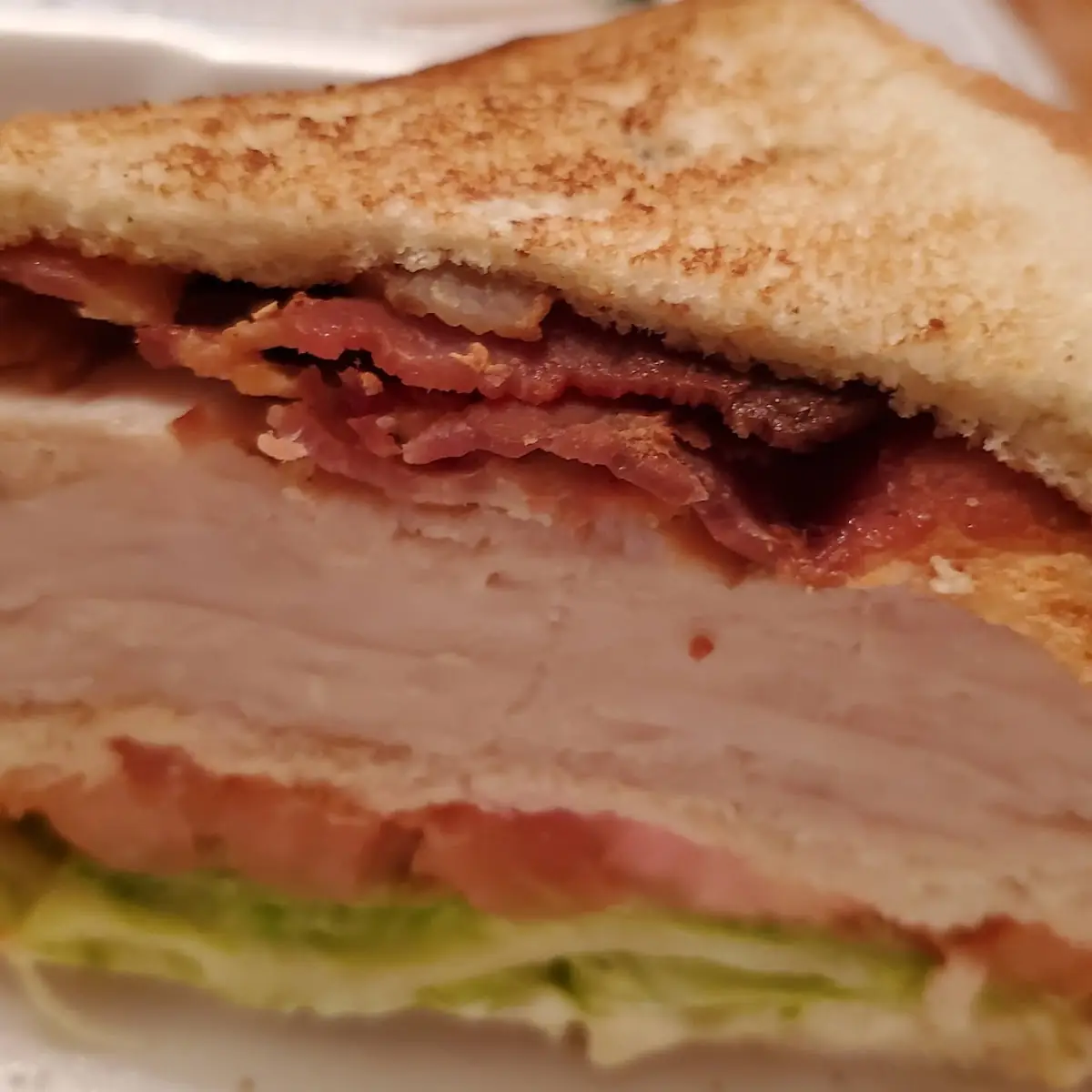 Turkey Sandwich