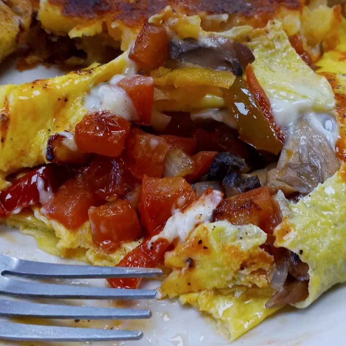 Veggie Omelette