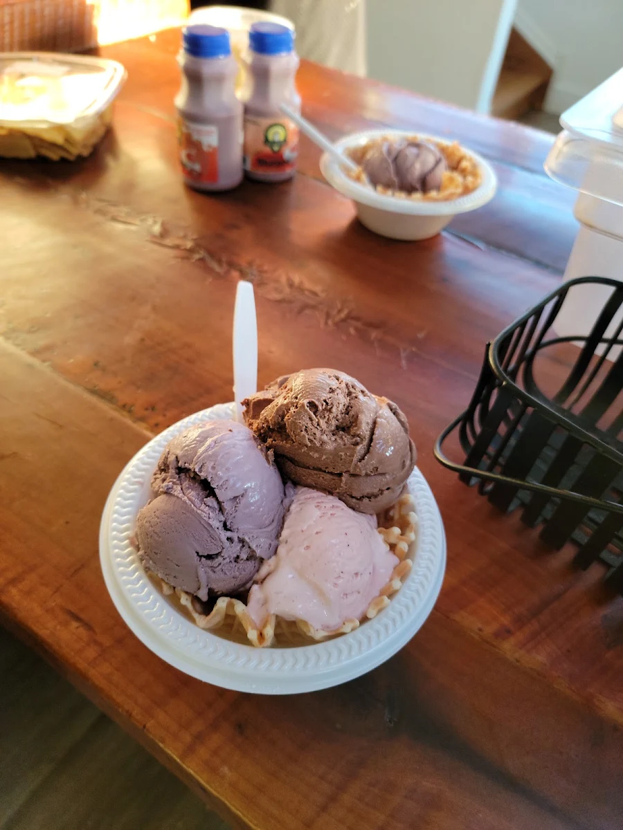 Chocolate Ice Cream
