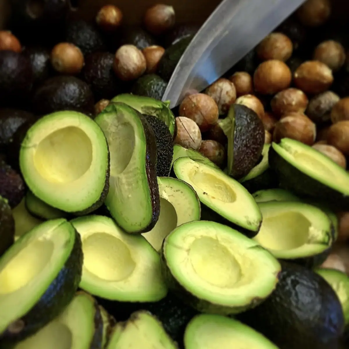 Fresh Guacamole Avocados