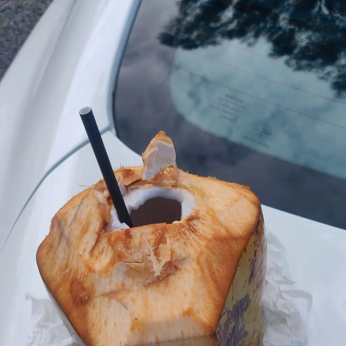 Coconut Water