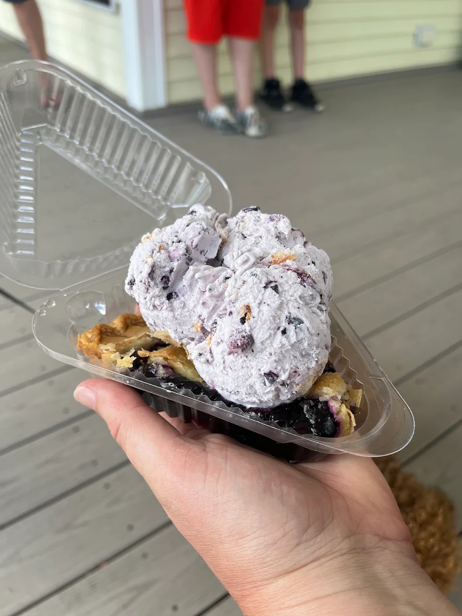 Blueberry Cheesecake Ice Cream